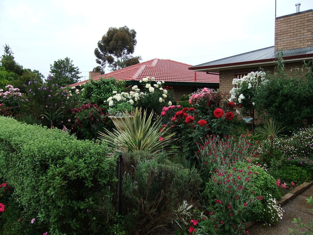 Admurraya House Bed & Breakfast Rutherglen Buitenkant foto