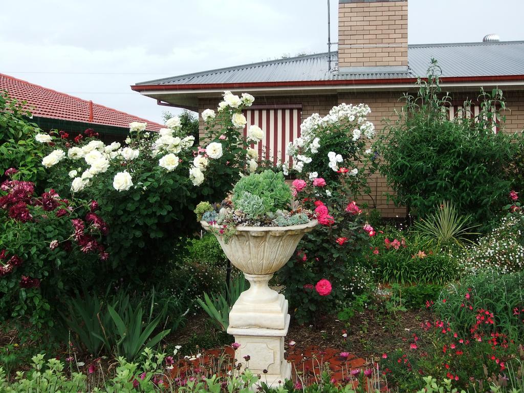 Admurraya House Bed & Breakfast Rutherglen Buitenkant foto