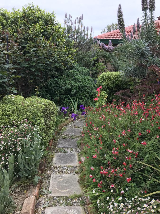 Admurraya House Bed & Breakfast Rutherglen Buitenkant foto