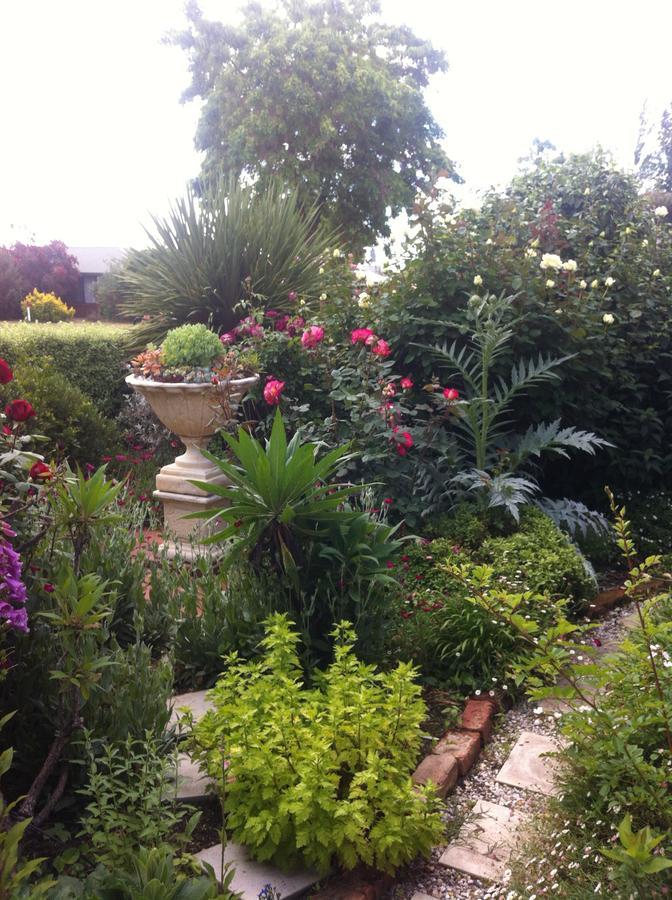 Admurraya House Bed & Breakfast Rutherglen Buitenkant foto