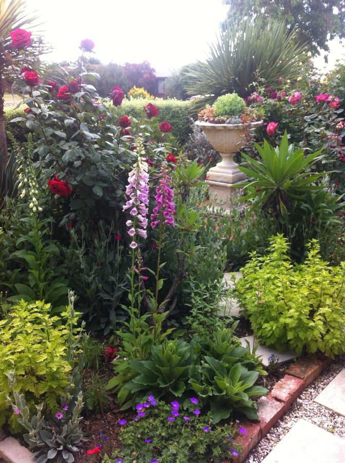Admurraya House Bed & Breakfast Rutherglen Buitenkant foto